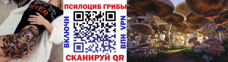сколько стоит  Пучеж  Псилоцибиновые грибы Psilocybine cubensis 